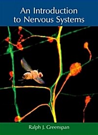 An Introduction to Nervous Systems (Paperback)