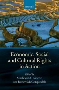 Economic, social and cultural rights in action