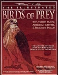 Illustrated Birds of Prey: Red-Tailed Hawk, American Kestral, & Peregrine Falcon: The Ultimate Reference Guide for Bird Lovers, Woodcarvers, and Artis (Paperback)