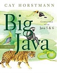 Big Java (Paperback, 3rd)