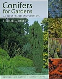 Conifers for Gardens: An Illustrated Encyclopedia (Hardcover)