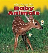 Baby Animals (Library Binding)