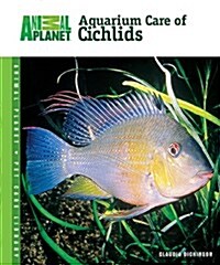 Aquarium Care of Cichlids (Hardcover)