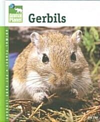 Gerbils (Hardcover)