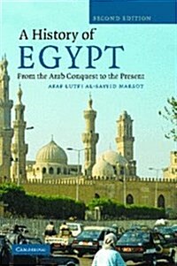 A History of Egypt : From the Arab Conquest to the Present (Hardcover, 2 Revised edition)
