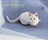 Cats in the Sun 2008 Calendar (Paperback, Wall)
