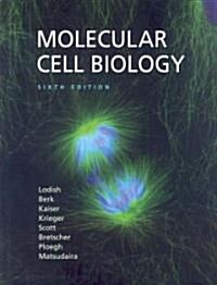 [중고] Molecular Cell Biology (Hardcover, 6th)