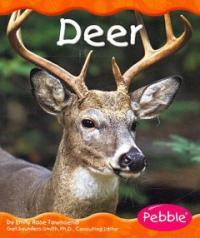 Deer 표지이미지