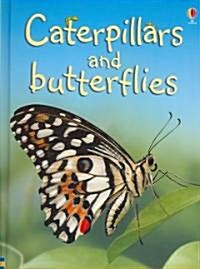 Caterpillars and Butterflies (Hardcover)