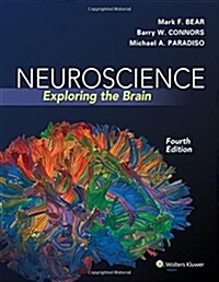 [중고] Neuroscience: Exploring the Brain (Hardcover, 4)
