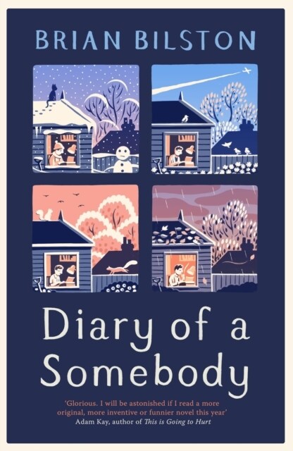 Diary of a Somebody (Hardcover)