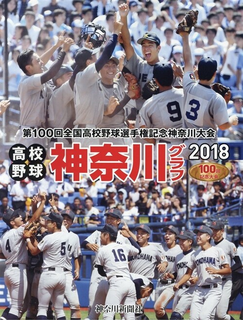 高校野球神柰川グラフ (2018) (A4)