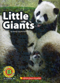 Little Giants (책 + CD 1장)