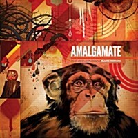 Amalgamate: The Art, Design and Exploration of Blaine Fontana (Hardcover, New)