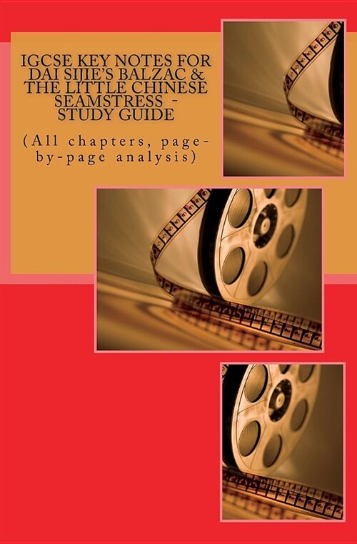 Igcse Key Notes for Dai Sijies Balzac & the Little Chinese Seamstress - Study Guide: (all Chapters, Page-By-Page Analysis) (Paperback)