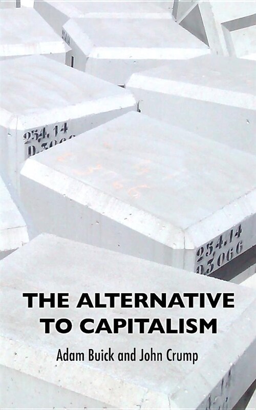 The Alternative to Capitalism (Paperback)