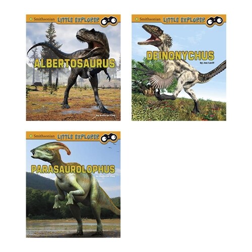 Little Paleontologist (Paperback)