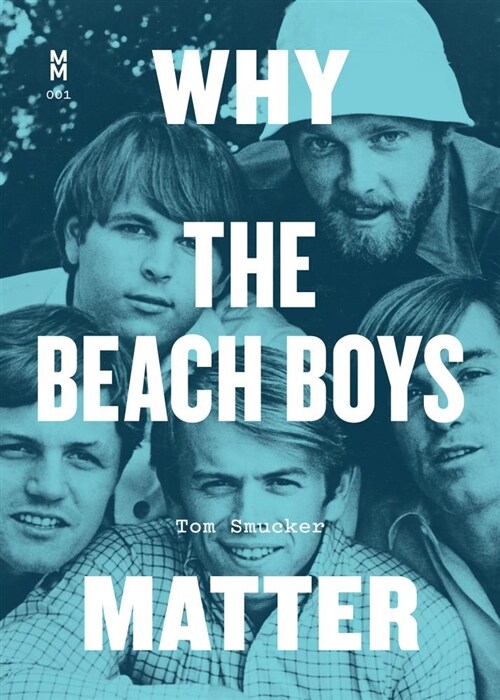Why the Beach Boys Matter (Paperback)