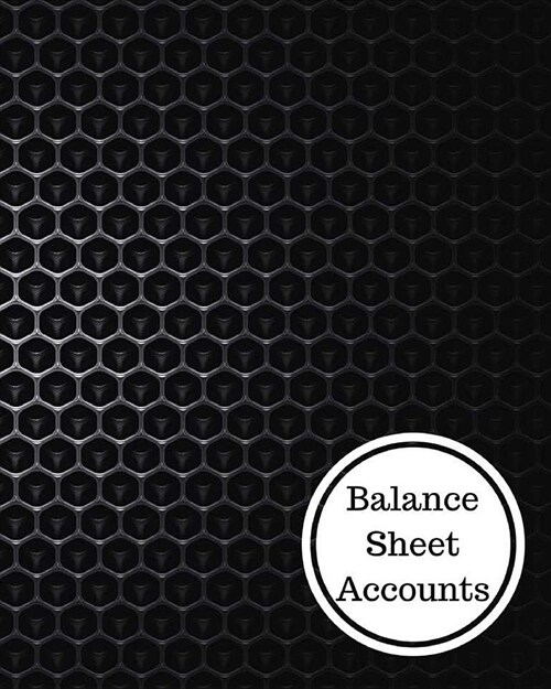 Balance Sheet Accounts: Balance Sheet Book (Paperback)