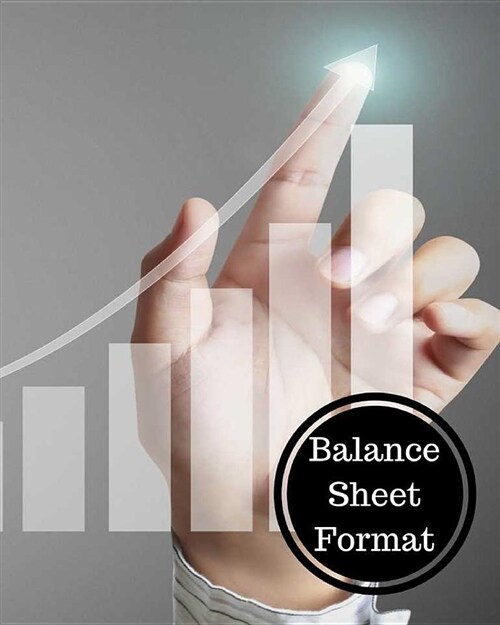 Balance Sheet Format: Balance Sheet Book (Paperback)