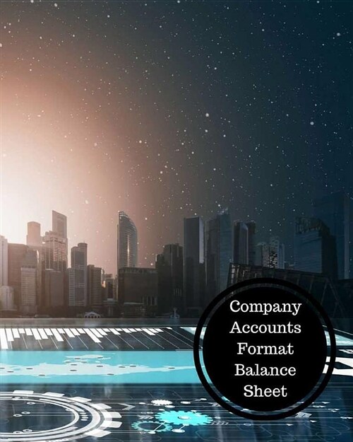 Company Accounts Format Balance Sheet: Balance Sheet Book (Paperback)