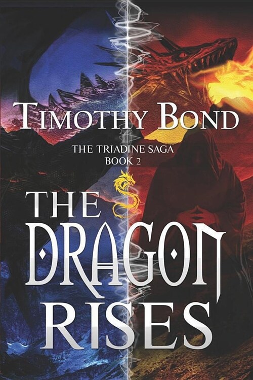 The Dragon Rises: An Epic Fantasy: (Paperback, 2)