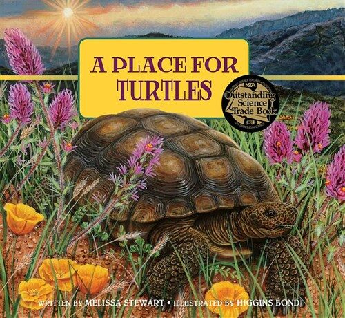 A Place for Turtles (Hardcover, Revised)