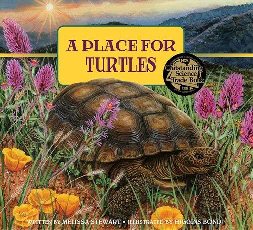 A Place for Turtles (Paperback, Revised)