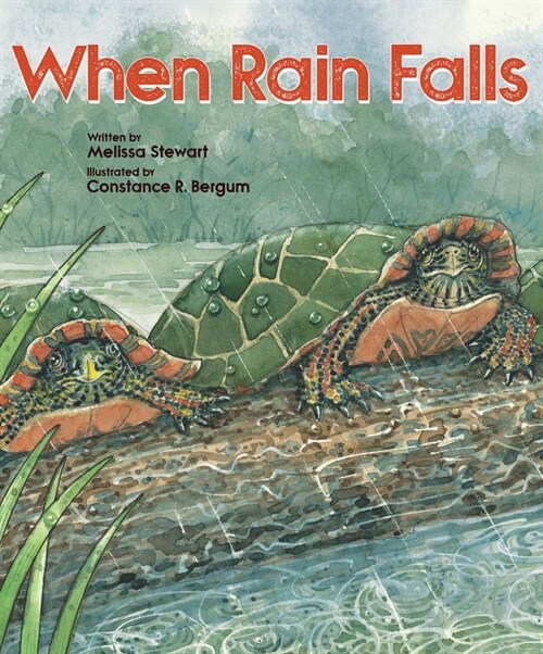 When Rain Falls (Paperback)