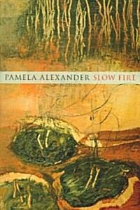 Slow Fire (Paperback, Spiral)