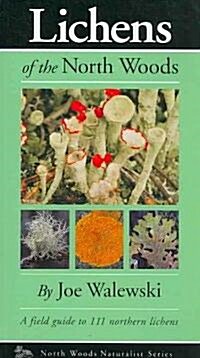 Lichens of the North Woods (Paperback)