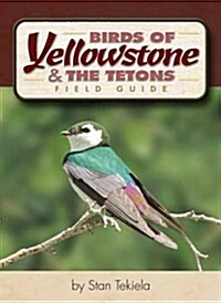 Birds of Yellowstone and the Tetons Field Guide (Paperback)