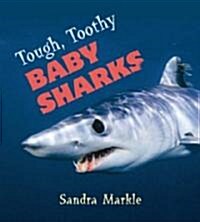 Tough, Toothy Baby Sharks (Hardcover)