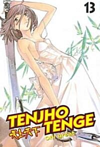 Tenjho Tenge 13 (Paperback)