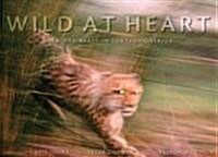 Wild at Heart: Man and Beast in Southern Africa (Hardcover)