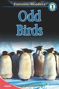 Odd Birds (Paperback)