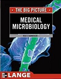 [중고] Medical Microbiology: The Big Picture (Paperback)