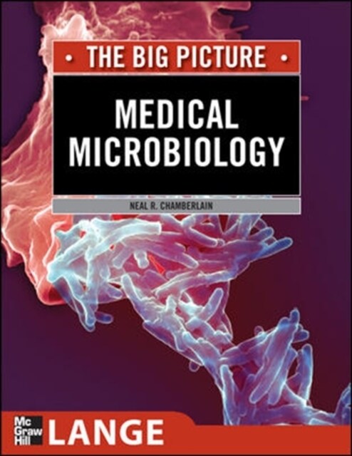 [중고] Medical Microbiology: The Big Picture (Paperback)