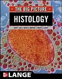 Histology: The Big Picture (Paperback)