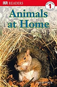 [중고] DK Readers L1: Animals at Home (Paperback)