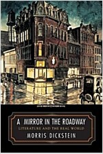 A Mirror in the Roadway: Literature and the Real World (Paperback)