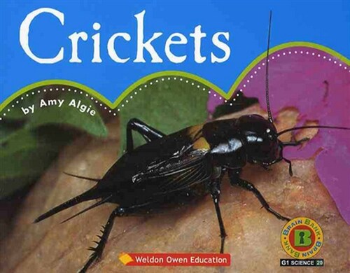 Crickets (책 + CD 1장)