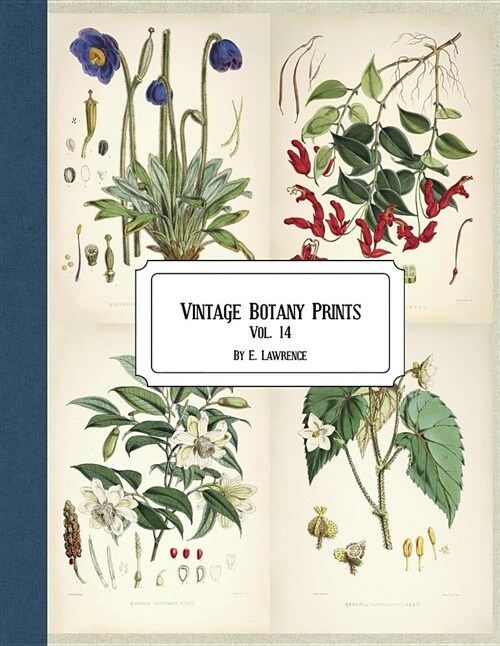 Vintage Botany Prints: Vol. 14 (Paperback)