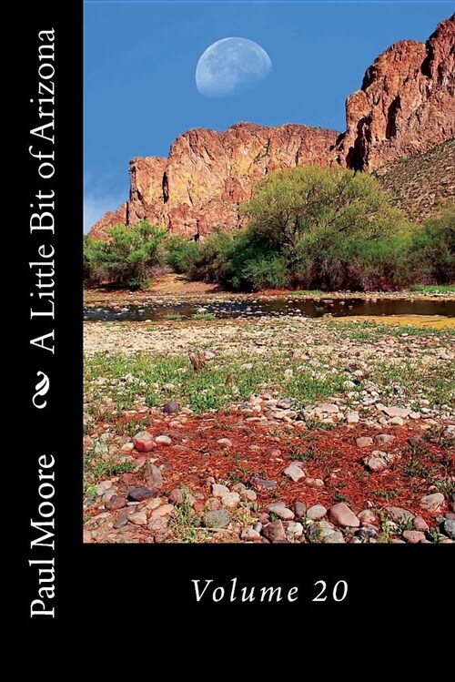 A Little Bit of Arizona: Volume 20 (Paperback)
