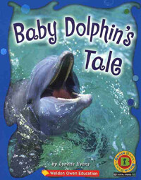 Baby Dolphin's Tale (책 + CD 1장)