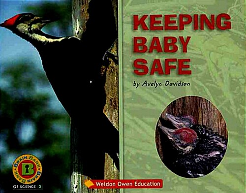 Keeping Baby Safe (책 + CD 1장)