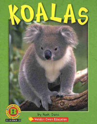 Koalas (책 + CD 1장)