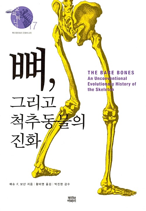 뼈, 그리고 척추동물의 진화