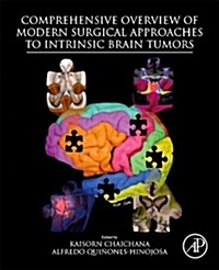 Comprehensive Overview of Modern Surgical Approaches to Intrinsic Brain Tumors (Paperback)