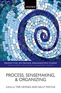 Process, Sensemaking, and Organizing (Paperback, Reprint)